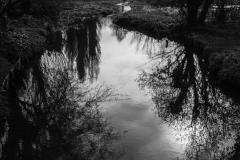 1077030-Web
