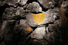 P1036449-Web