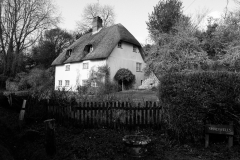 1066626-Web