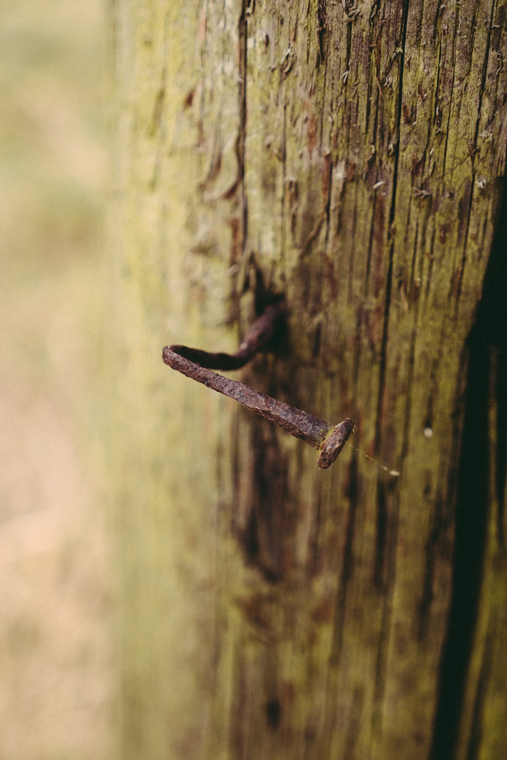 Bent Nail